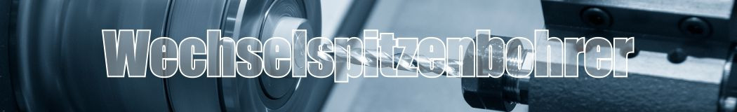 NEU! Wechselspitzenbohrer